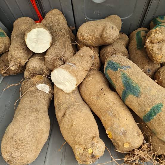Yam