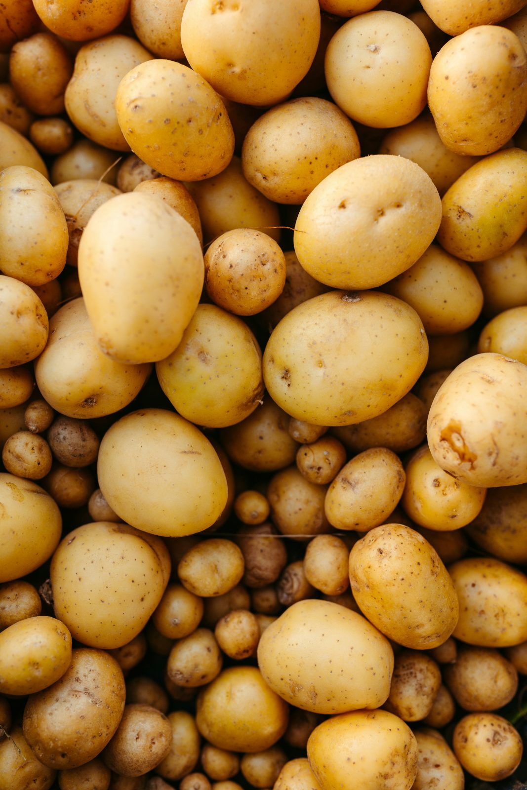 Irish Potatoes