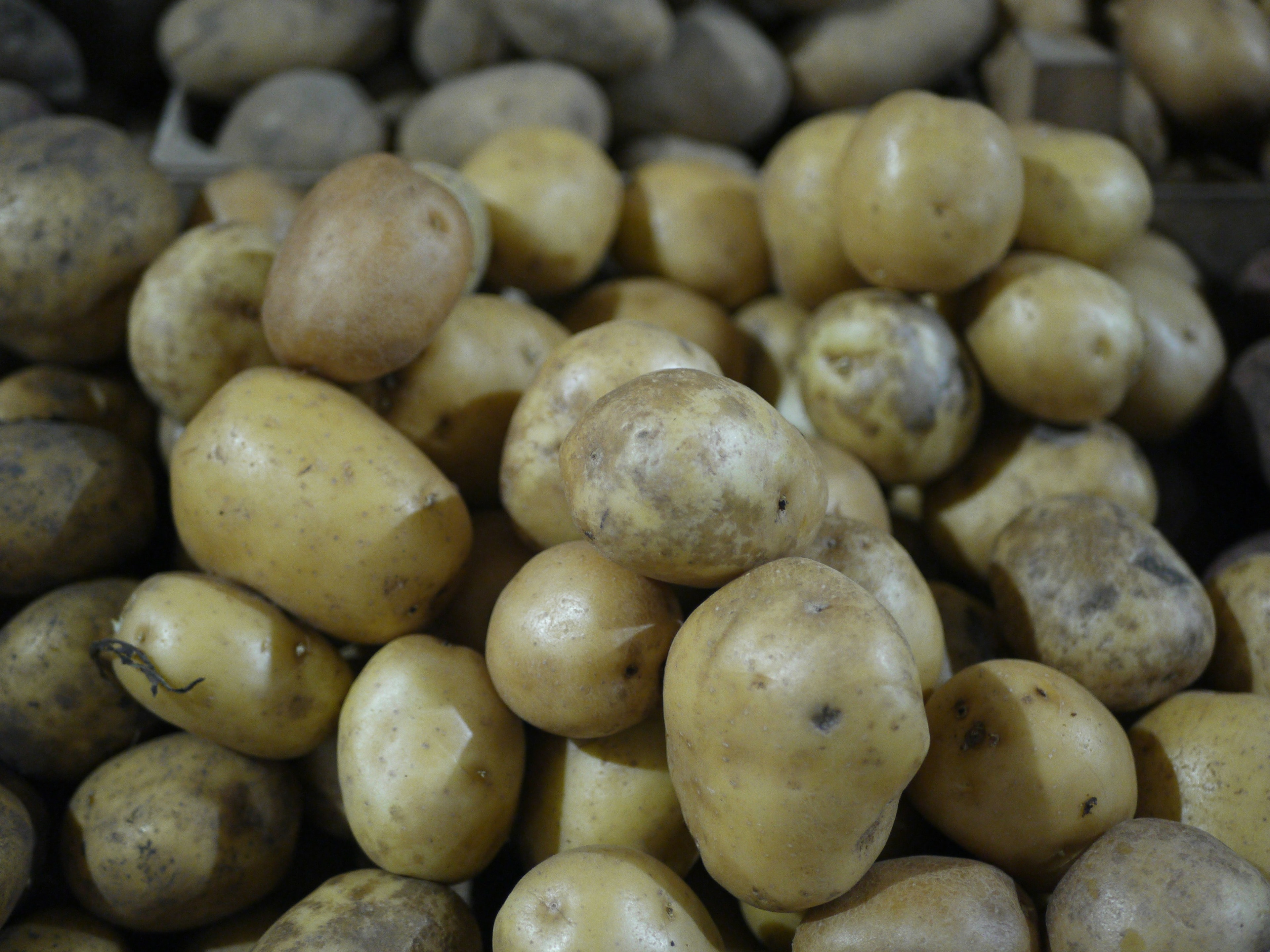 Sweet potatoes